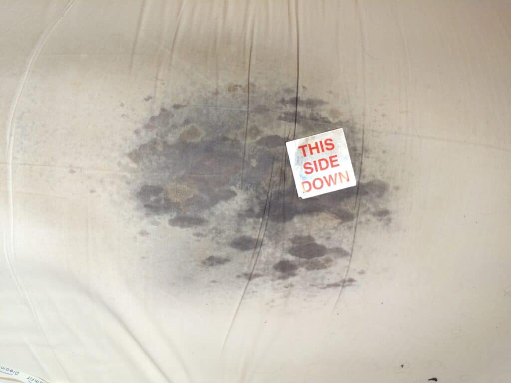 mold-on-a-mattress