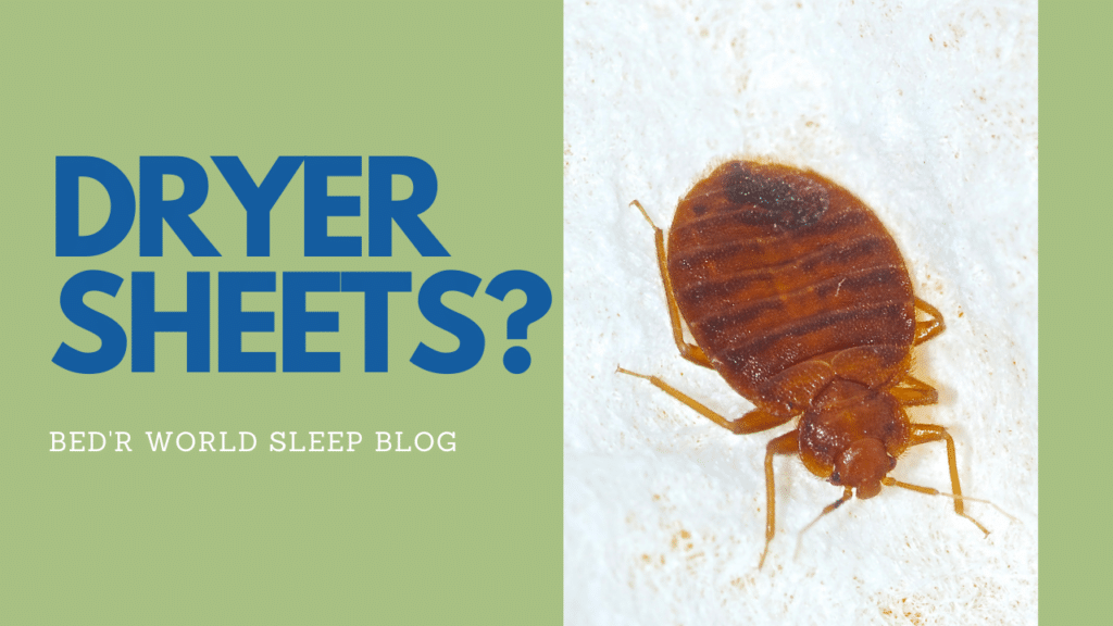 using-dryer-sheets-to-get-rid-of-bed-bugs